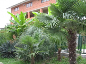 Arian Guest House